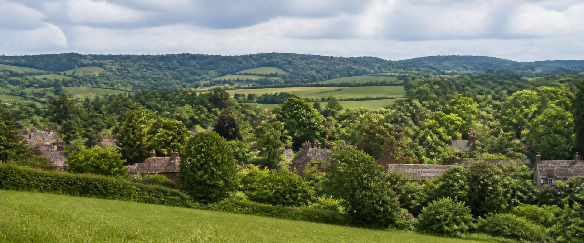 Rolling countryside in Surrey and West Kent with mature trees and village rooftops